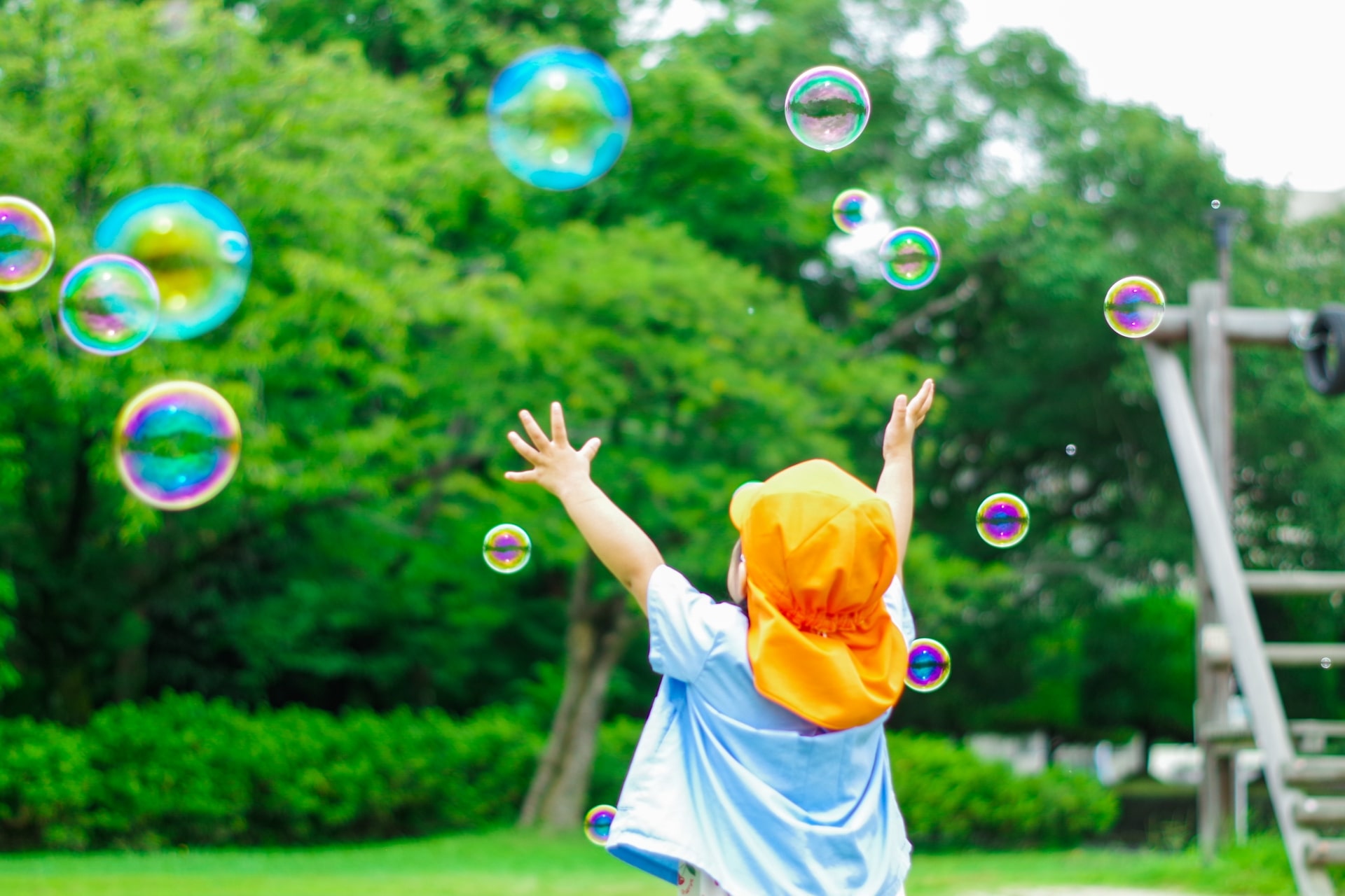 園児 富山市の幼稚園・認定こども園（幼稚園利用）新入園児募集情報！│富山の達人